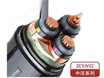郑州矿用电缆MYJV22