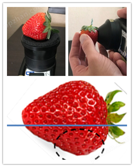 草莓无损糖度计测量方法.png
